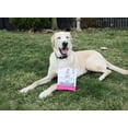 thumbnail image 5 of Shameless Pets Dog Treats, Soft Baked Biscuits Duck Duck Beet, 6 oz, 5 of 11