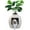 White, variant on CozyHom Cat Litter Box Furniture Artificial Plant Hidden Calley, Ventilated Waterproof And Odor Resistant, Carbon Filter And 3.3lbs Real Stone Block For Large Cats, Black