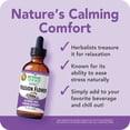 thumbnail image 4 of Botanic Choice Passion Flower Extract, Traditional Relaxation Supporter, Gluten and Alcohol Free Historic Herbal Supplement - 1 Fl. Oz, 4 of 10