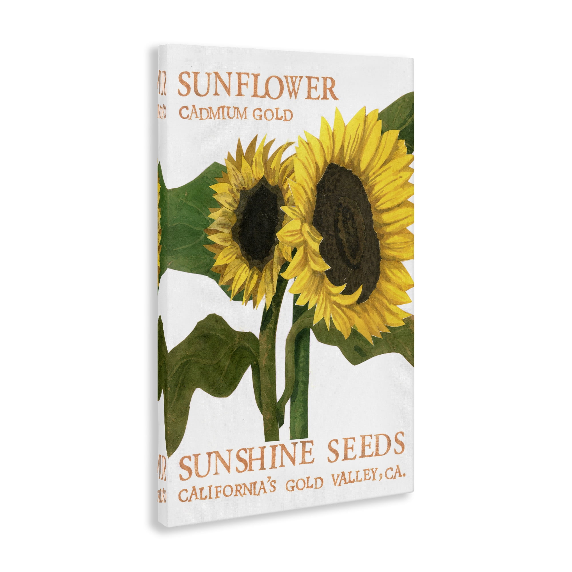 Stupell Industries Sunflower Seeds Design Typography Painting Gallery Wrapped Canvas Art Print Wall Art, 20 x 30