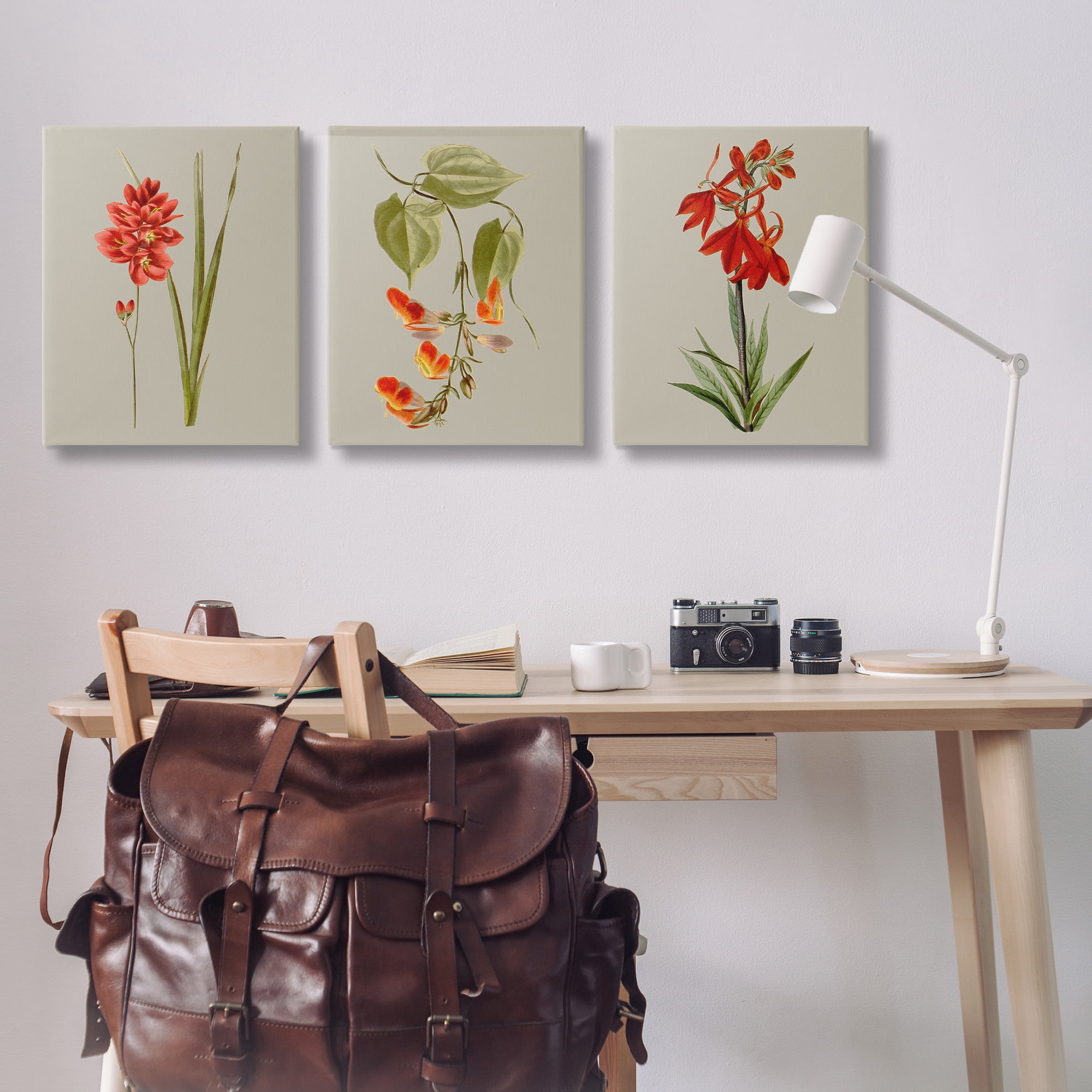 Stupell Industries Woodland Flower Study Botanical & Floral Painting Gallery Wrapped Canvas Art Print Wall Art, 24 x 30, Set of 3