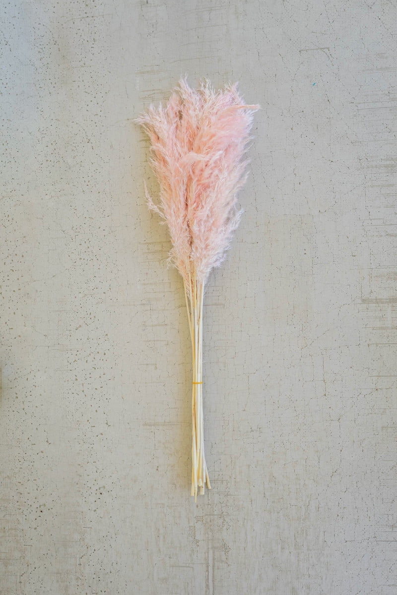 BUNDLE OF 12 PINK PAMPAS GRASS
