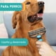 thumbnail image 4 of Cepillo Deslanador para Gatos y Perros con Doble Función y Dientes Redondeados, 4 of 6