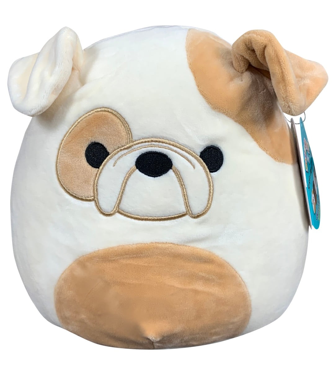 squishmallow bulldog