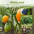 thumbnail image 7 of 200 Pcs Support Clips - Heavy Duty Trellis Clips for Tomatoes, Grapes & Climbing Vegetables - Reusable Garden Vine Clips to Grow Healthier, 7 of 7