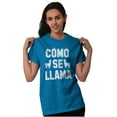 thumbnail image 3 of Como Se Llama Alpaca Animal Humor Men's Graphic T Shirt Tees Brisco Brands 2X, 3 of 6