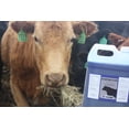thumbnail image 5 of Starting Fluid- Supportive Liquid Nutrients for Livestock, 5 of 8