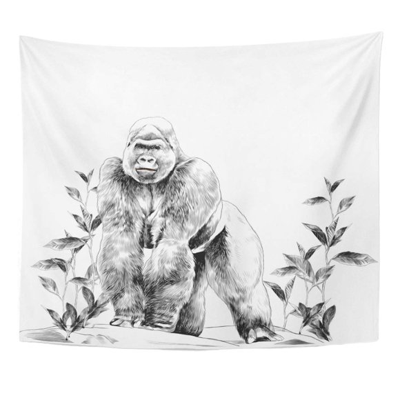 ZEALGNED White Gorilla Stands on All Fours The Stone in Grass with Leaves Sketch Graphics Monochrome Drawing Wall Art Hanging Tapestry Home Decor for Living Room Bedroom Dorm 51x60 inch