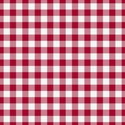 The Pioneer Woman 44" Cotton Check, Plaid and Printed Sewing & Craft Fabric By the Yard, Red and White