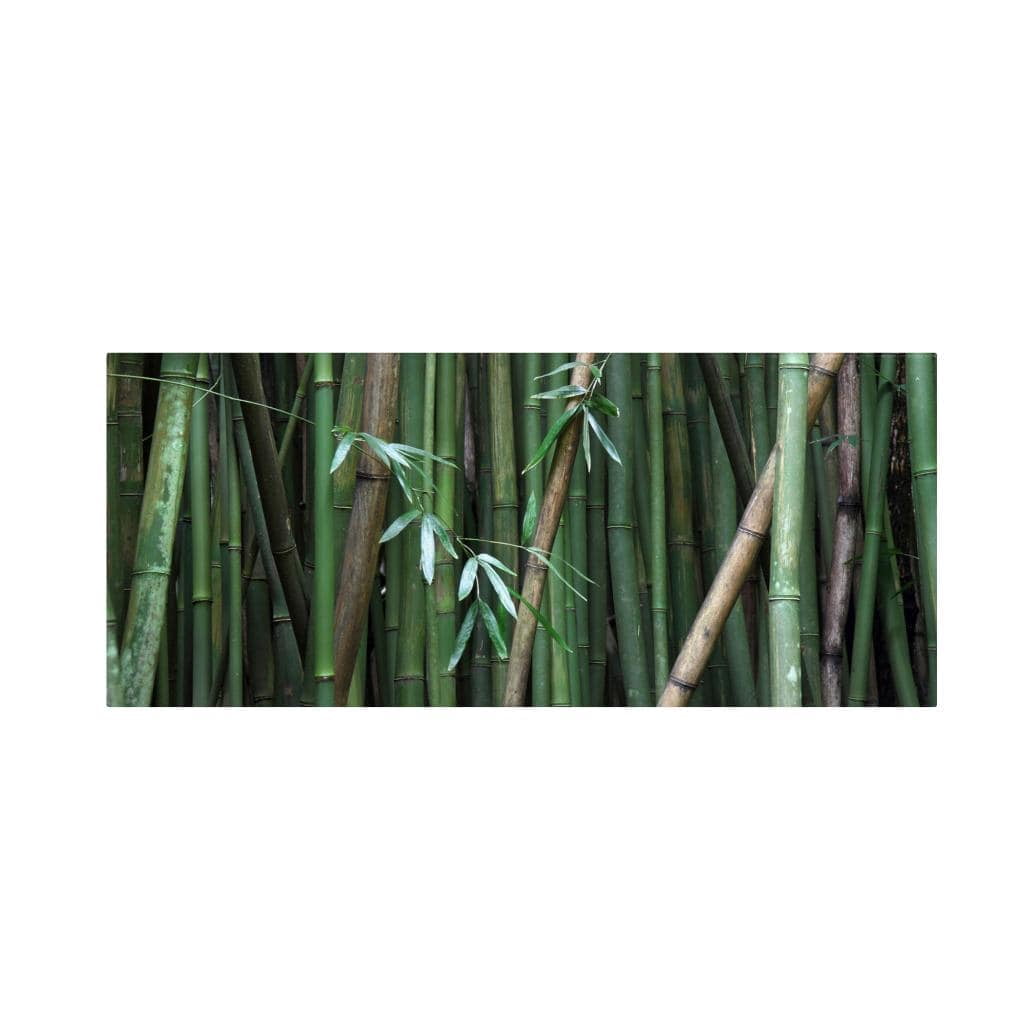 "Bamboo" Canvas Art by Pierre Leclerc