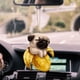 thumbnail image 3 of Adorno Colgante Para Coche Con Gato Y Perro, Decoración Para El Espejo Retrovisor, Decoración Divertida Para El Avión, 3 of 4