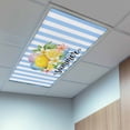 thumbnail image 2 of 1 Pack Lemon Summer Fluorescent Light Covers for Ceiling Lights Fruit Starfish Shell Blue Stripes Magnetic Ceiling Light Covers Overhead Light Filters for Office Classroom Home, 2 of 9