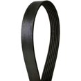 thumbnail image 2 of Continental Elite 4060595 Poly-V / Serpentine Belt, 2 of 4