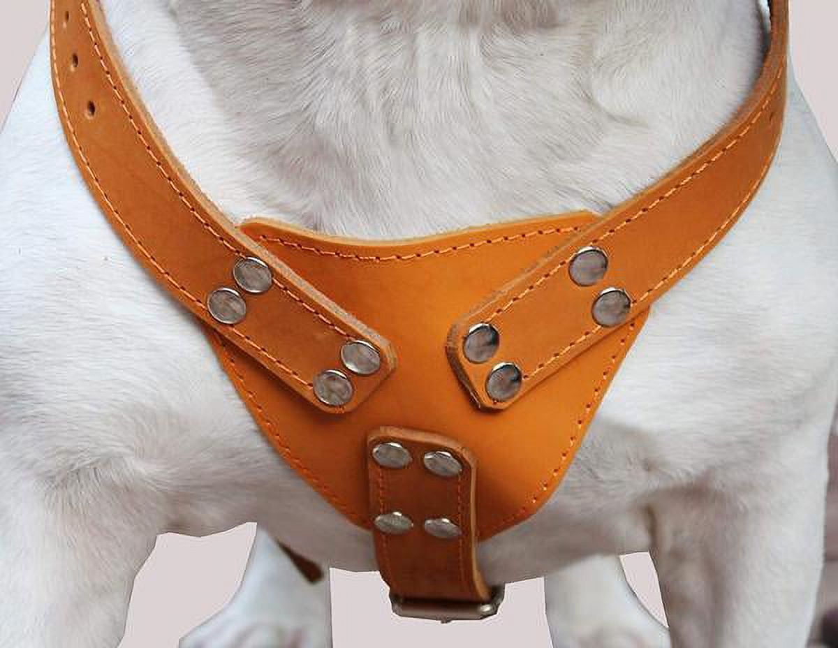 Orange Genuine Leather Dog Harness, Large to Xlarge. 33"-37" Chest, 1.5" Wide Straps, Mastiff.