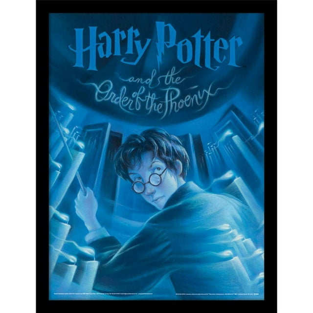 Harry Potter The Order Of The Phoenix Framed Poster