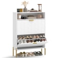 thumbnail image 1 of HOMCOM Armoire à Chaussures avec 2 Tiroirs Basculants, Armoire de Rangement à Chaussures Mince, Blanc, 1 of 10
