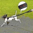 thumbnail image 4 of Laisse pour Chien Robuste pour Grands Chiens jusqu'à 40kg, Laisse Réfléchissante, 4 of 5