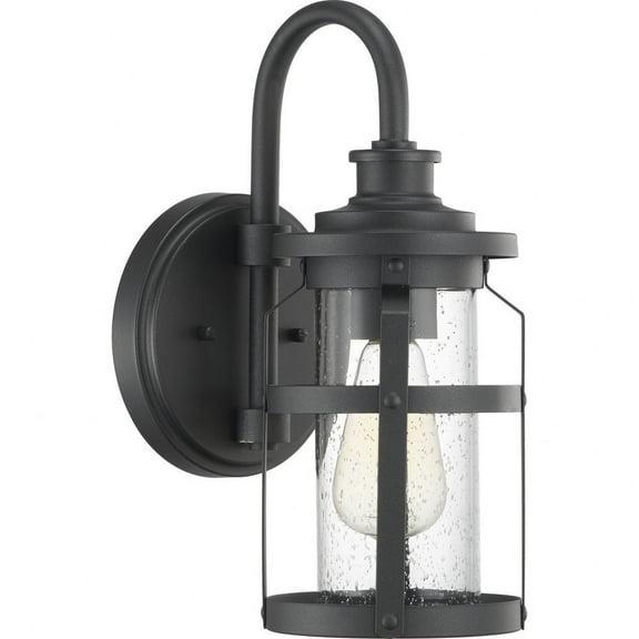 Progress Lighting Haslett 1-Light Outdoor Wall Lantern in Black with Seeded Glass Shade