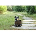 thumbnail image 2 of Hi-Line Gift BEAR CUB HOLDING WELCOME SIGN, 2 of 11