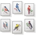 thumbnail image 3 of Paper - Assorted American Birds Greeting Cards - Stationery Cards with Envelopes - Thank You Card - Blank Note Cards - Greeting Cards for All Occasions - Made in USA (5.5 x 4.25, Set of 12), 3 of 9