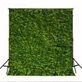 thumbnail image 2 of EREHome Polyester Fabric 5x7ft Natural Scenery Photography Backdrops for Photographers Green Grass Children Photo Background, 2 of 2