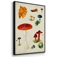 thumbnail image 3 of Mushroom Species VI - Framed Premium Gallery Wrapped Canvas L Frame 3 Piece Set - Ready to Hang, 3 of 9
