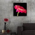 thumbnail image 5 of Epic Art 'Awakening' by Pamela Plummer, Acrylic Glass Wall Art, 24"x24", 5 of 8
