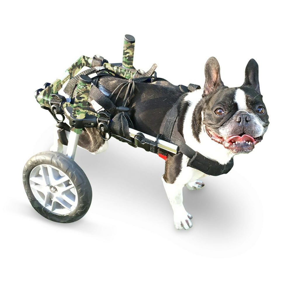 Walkin' Wheels Dog Wheelchair for Small Dogs 1125 Pounds