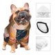 thumbnail image 3 of Fotbe Bluebird Blossom Elegance Sudadera con Estampado para Perros Pequeños – Suéter con Capucha para Mascotas, Tela Suave de Forro Polar con Bolsillo-Small, 3 of 7