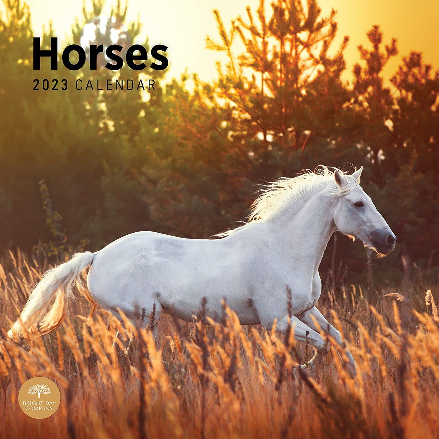 Farm Animal Horse 2022 Gypsy Vanner Monthly Wall Calendar by Bright Day 12 x 12 Inch 
