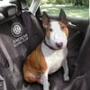 Akc Car Seat Cover For Any Backseat