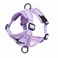 thumbnail image 7 of Exclusivo Mezcla Pet Harness and Leash Set, Adjustable Reflective Walking Dog Harness for Small Dogs, No Pull Soft Mesh Puppy Harness, Purple, M, 7 of 7