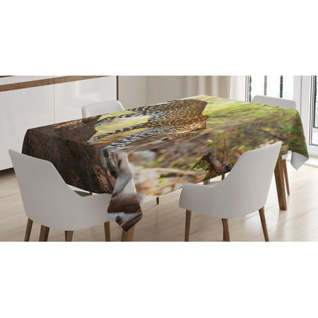 

Zoo Tablecloth Leopard Panthera Pantus on Tree Nature Reserve Botswana Carnivore Animal Rectangular Table Cover for Dining Room Kitchen 60 X 90 Inches Green Light Brown White by Ambesonne