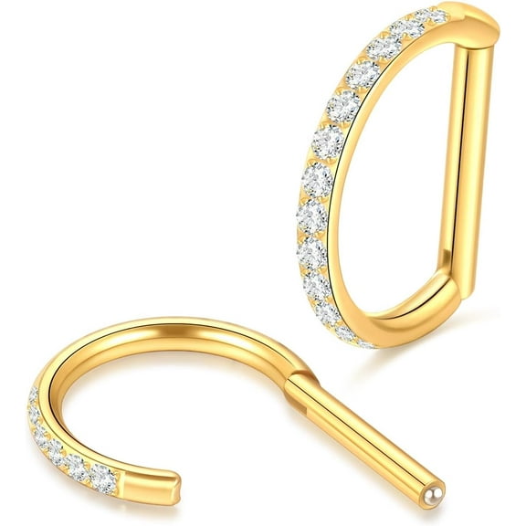 Titanium 16G D Shaped Nose Rings Hoops 8/10mm - Higned Segment Clicker Septum Rings Daith Conch Cartilage Piercing Jewelry for Women Men, Silver/Gold Plated, 2PCS