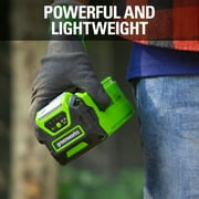 Greenworks 40V 2.5 Ah Battery 2901319