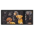 thumbnail image 4 of Chririnla Trifold Card Wallet Various Dog Breeds Print Waterproof Trifold Children's Money Wallets for Sports, Polyester Large Capacity Trifold Boys Wallets, 4 of 6