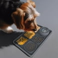 thumbnail image 3 of Slow Feeding Pet Licking Mat Placemat with Non-Slip Suction Cup - Easy to Clean Black, 3 of 8