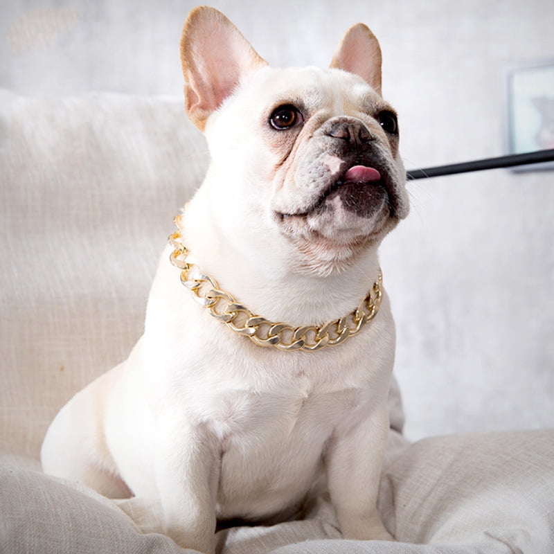 cuban link collar