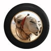 Desert Camel Closeup Jeep RV Camper Spare Tire Cover Black 27.5 in