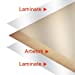 thumbnail image 5 of Laminated Great White Shark Poster Print 24x36, 5 of 5