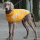 thumbnail image 4 of Chaqueta de invierno Billuyoard para perros de razas grandes Amarillo 3XL, 4 of 6