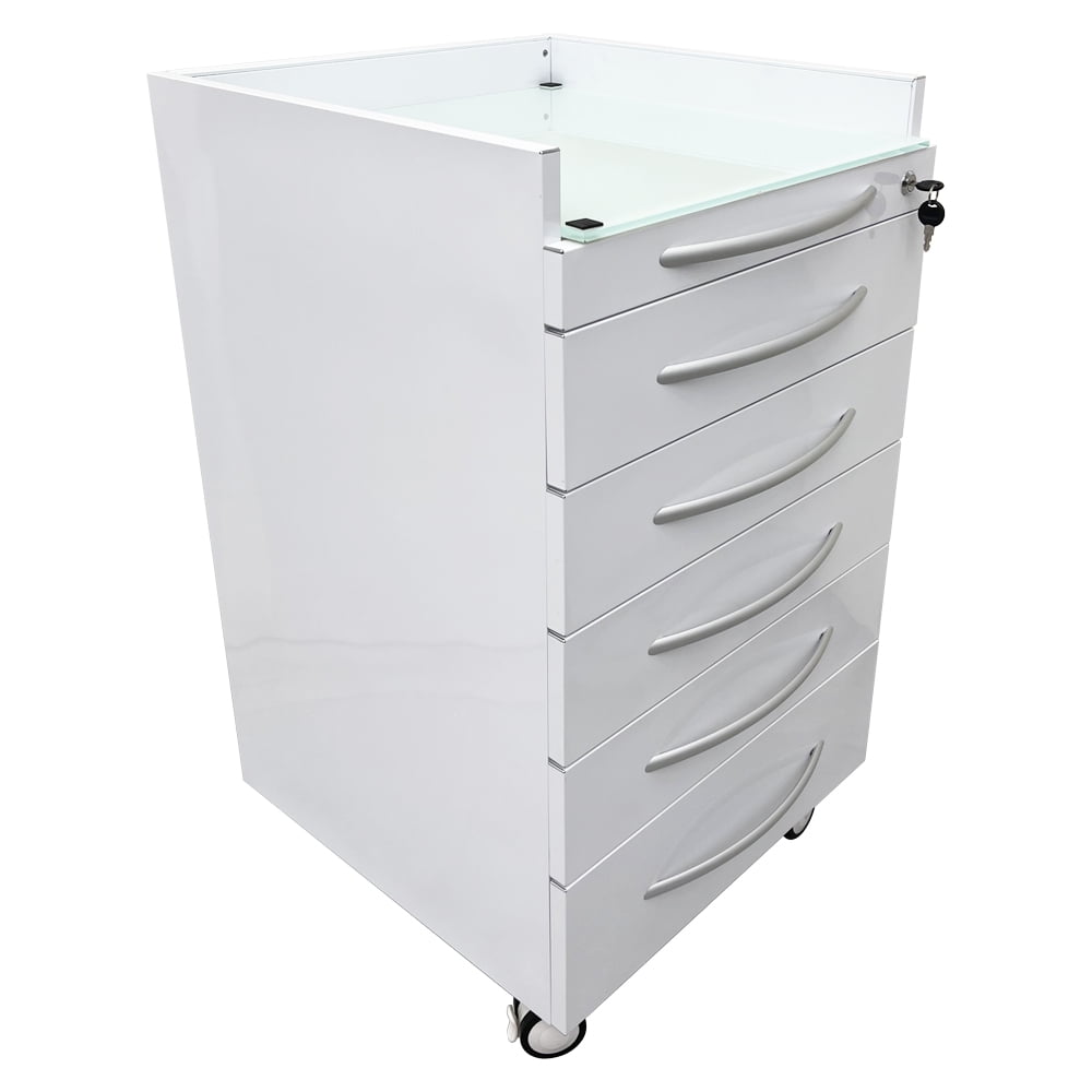 5 Drawers Dental Assistant's Mobile Cabinet Utility File Storage Moving Side Cabinet Stainless Steel with 2 Divider Brackets