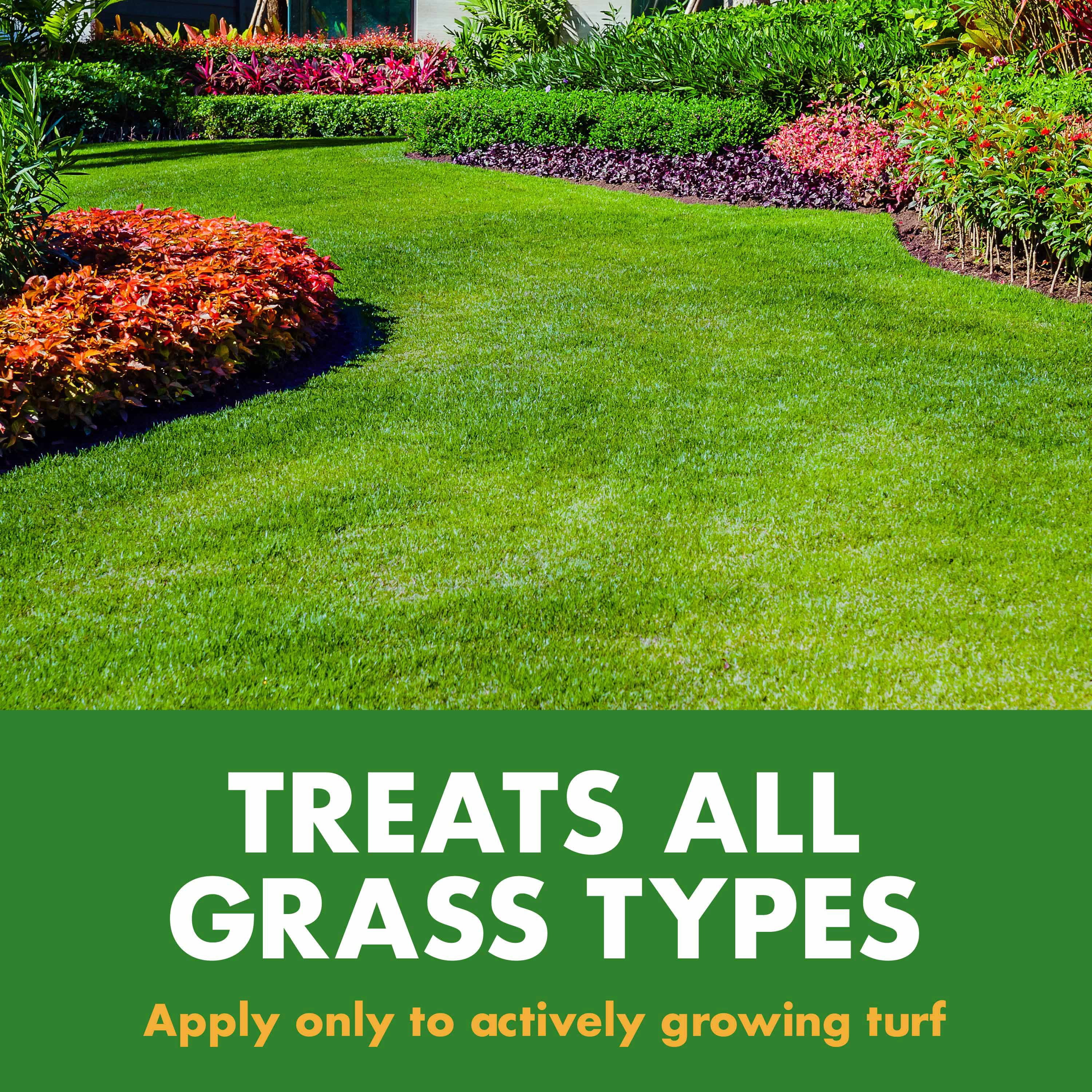 Spectracide Lawn Fertilizer 30-0-0, 2-in-1 Formula Boosts Overall Lawn Strength, 32 Ounces