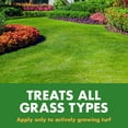thumbnail image 4 of Spectracide Lawn Fertilizer 30-0-0, 2-in-1 Formula Boosts Overall Lawn Strength, 32 Ounces, 4 of 12