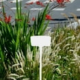 thumbnail image 1 of COSMOBETTY 10Ud Marcadores De Plantas Para Jardín En Plástico Impermeable Con Soporte Estable Y Ligero, 1 of 8