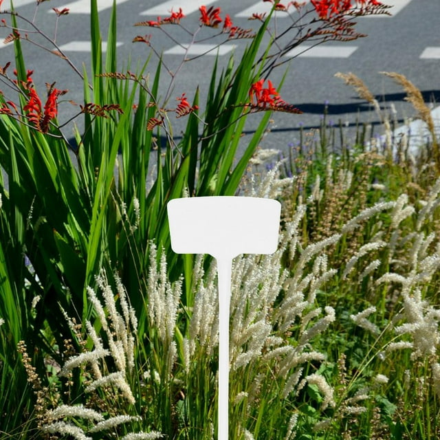 COSMOBETTY 10Ud Marcadores De Plantas Para Jardín En Plástico Impermeable Con Soporte Estable Y Ligero