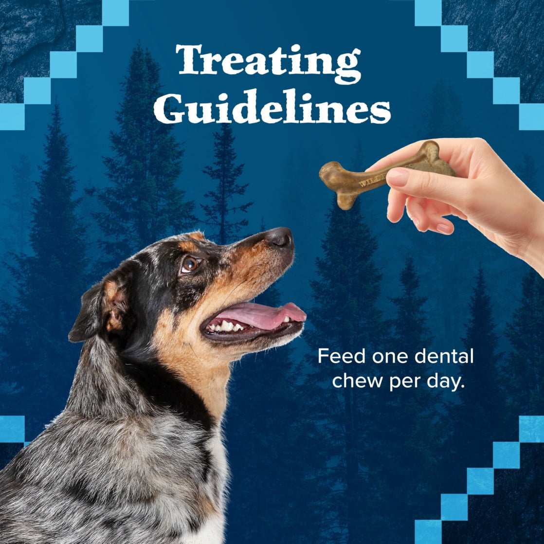Blue Buffalo Wilderness Wild Bones Dental Chews Dog Treats, Mini, 10-oz Bag