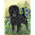thumbnail image 1 of Carolines Treasures SS8151GF Affenpinscher Flag - Garden Size, 1 of 3
