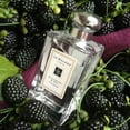thumbnail image 6 of Jo Malone Ladies Blackberry & Bay EDC Spray 3.4 oz Fragrances 690251026104, 6 of 6