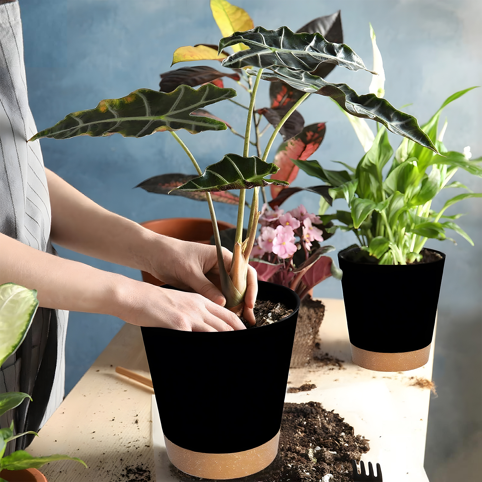 West Bay 6-Pack Self-Watering Plant Pots with Drainage, Black photo 4